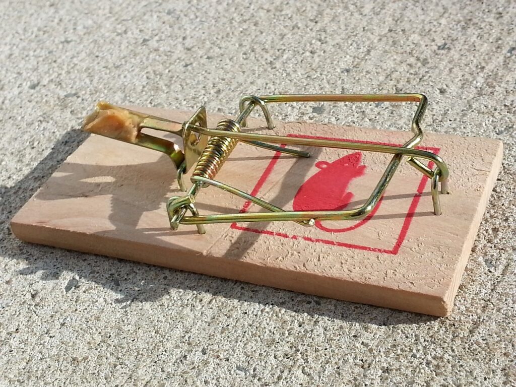 quit your 9-5 job - image of a mousetrap
